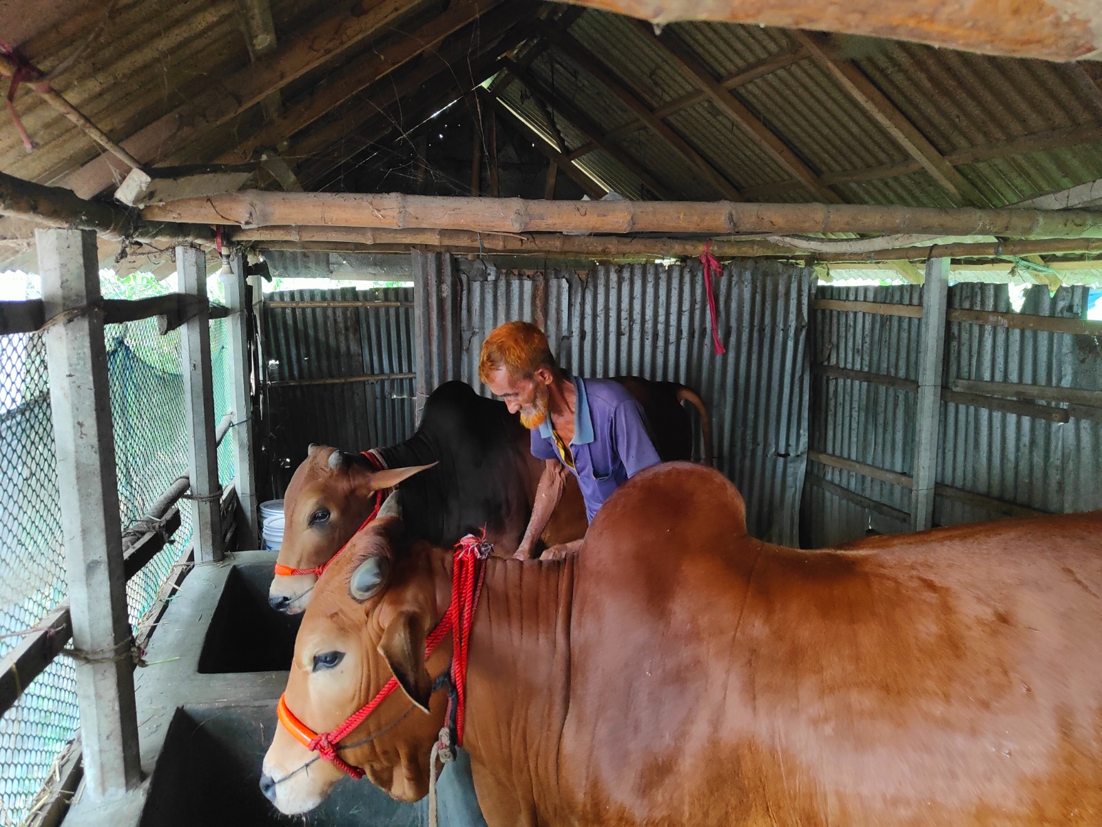 Transforming Rural Economies